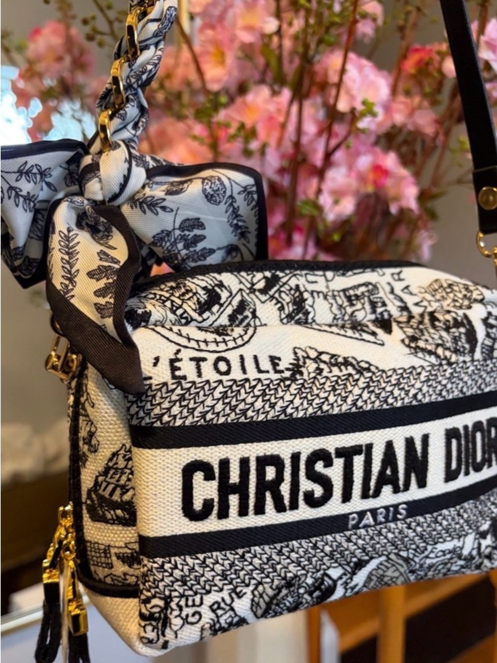Christian Dior Plan de Paris Canvas Embroidered Cosmetic Pouch - Picture 2 of 8